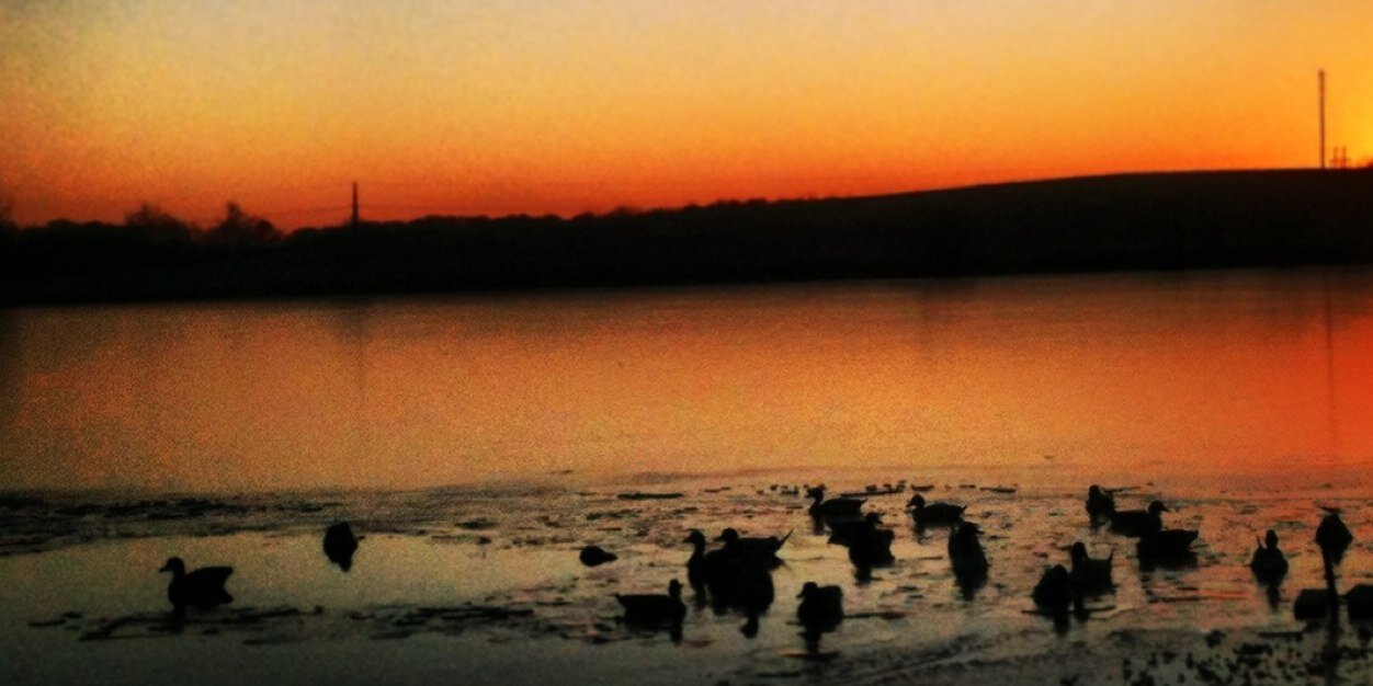 waterfowlhunter's profile banner image