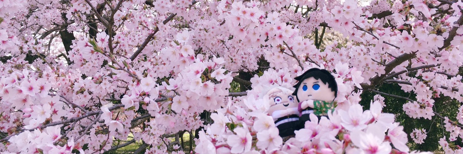 きいろ banner