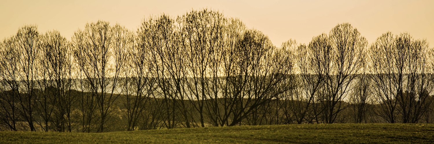 Rhodespan's profile banner image