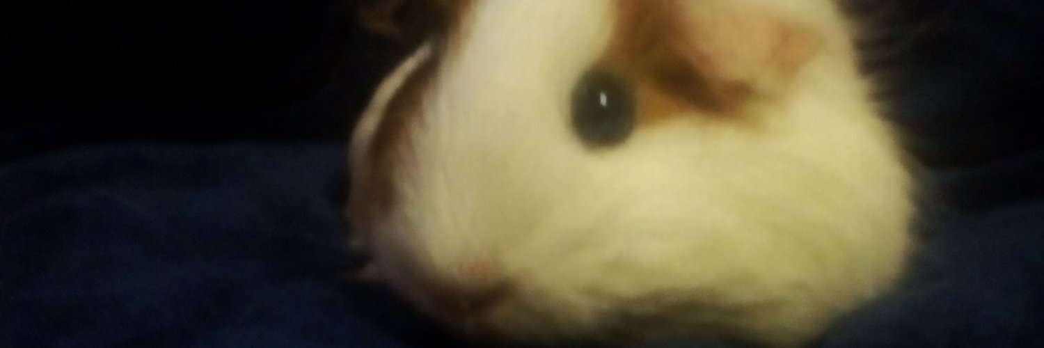 talls888's profile banner image