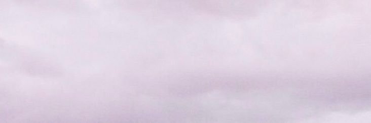 alex banner