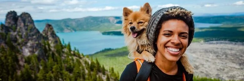 movehub's profile banner image