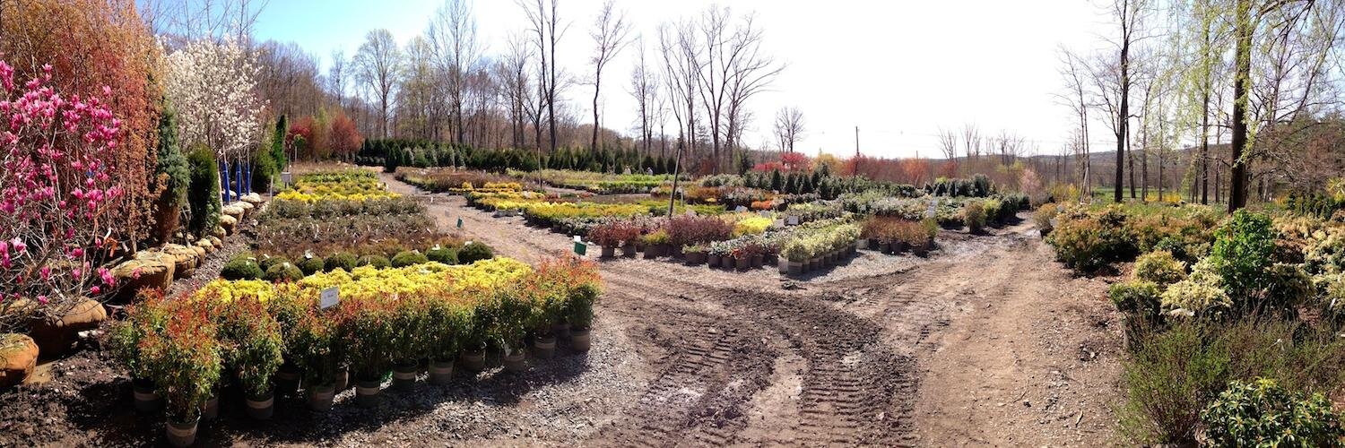 PlantDetectives's profile banner image