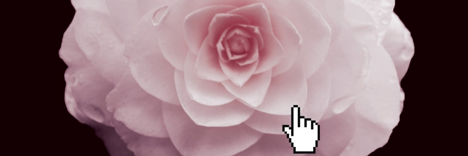 onepushkinpress's profile banner image