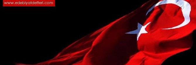 nesetyazar's profile banner image