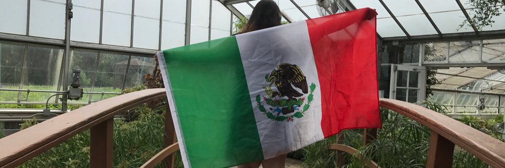 esa_ale17's profile banner image