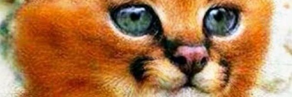Xyon06 Profile Banner