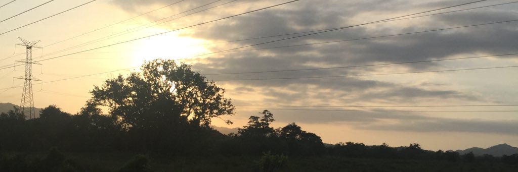 pseudofiel's profile banner image
