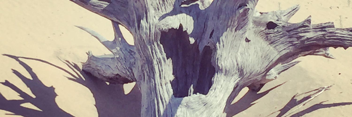 brandon_fischer's profile banner image
