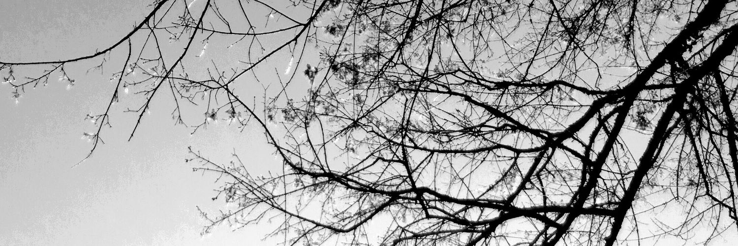 ShawnaNaidoo's profile banner image