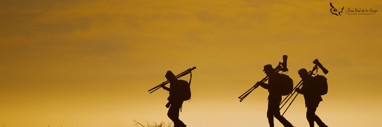 TripodesCl's profile banner image