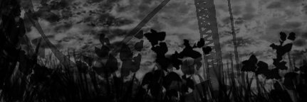 sten (more active on bluesky) banner