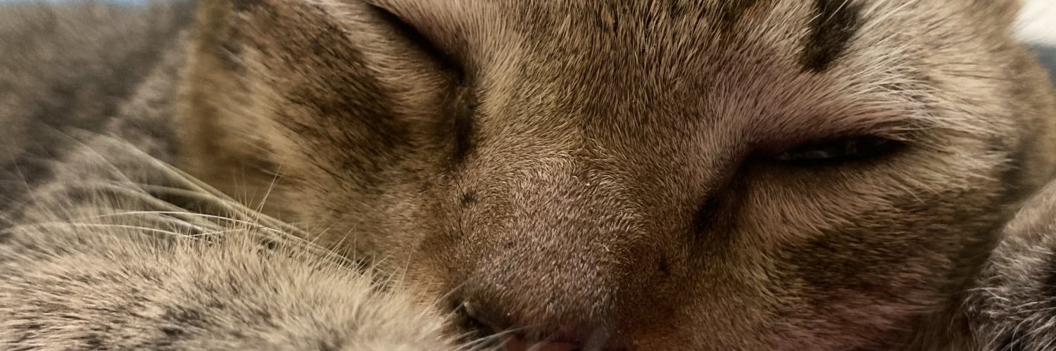 kiinnaan's profile banner image