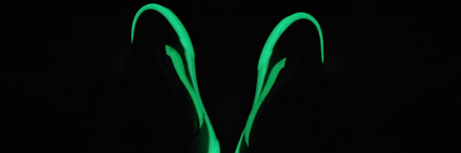 Chris Banks banner