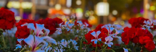 titibnh Profile Banner