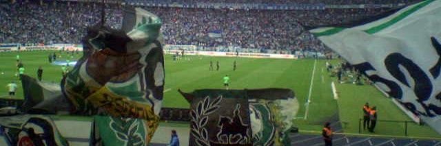Raphael banner