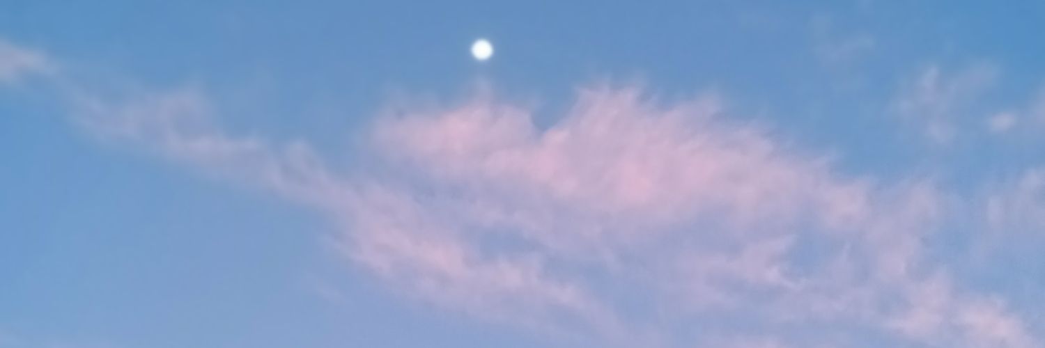 PathIntheGalaxi's profile banner image