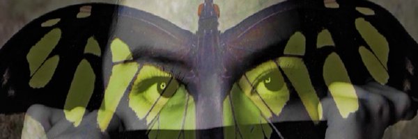 da_paph Profile Banner