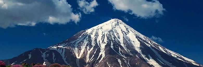 جاناتان مرغ دریایی banner