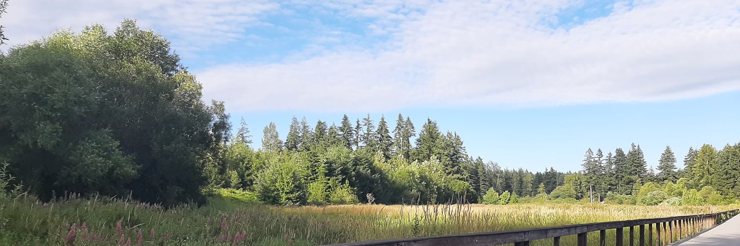 CrisVargod's profile banner image