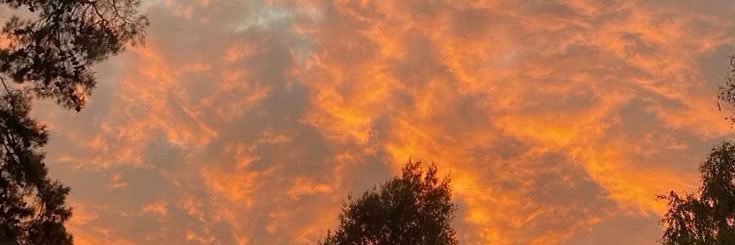 Coryaxeel's profile banner image