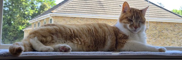 JooYoungChun2 Profile Banner