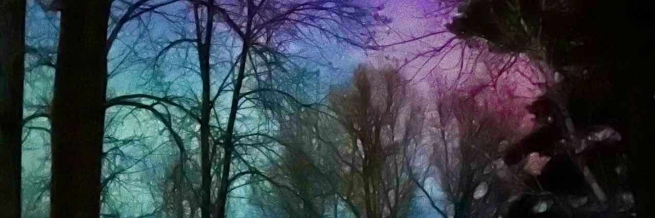 PlumeriaMoon0514 banner