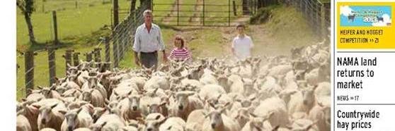 kilmullenfarm's profile banner image