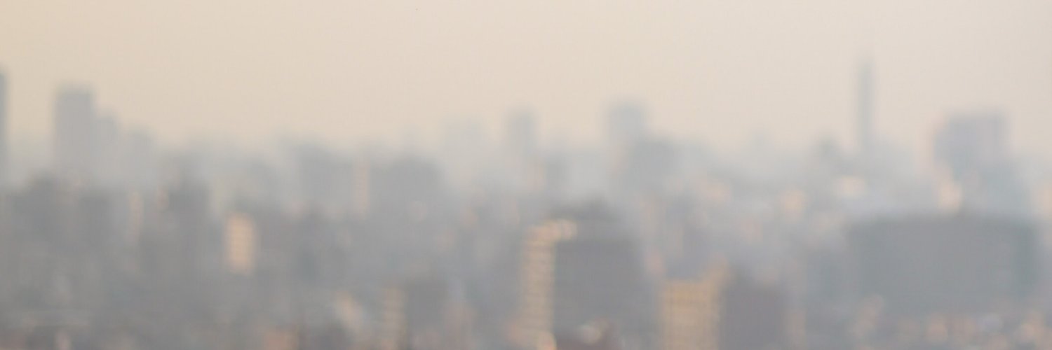 Lady Goes Crypto (∞) banner