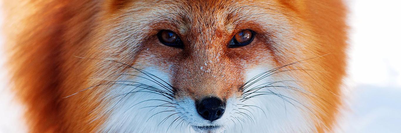 Сплит-система LG S12HQ banner