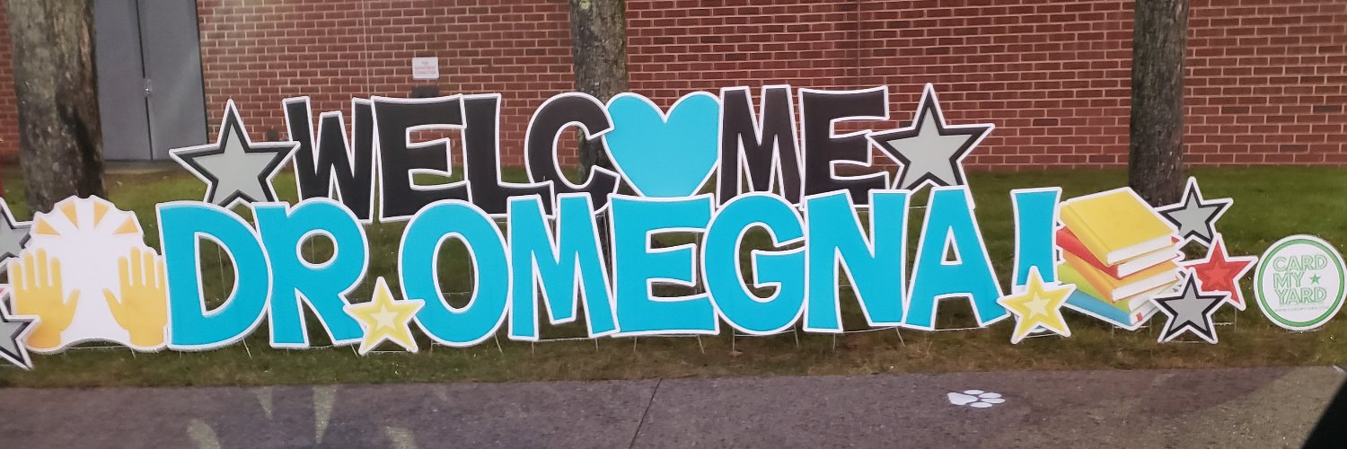 Elizabeth Omegna banner