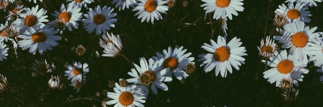 clexpxtrx's profile banner image
