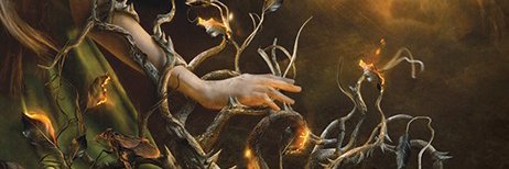 sandrajwaugh's profile banner image