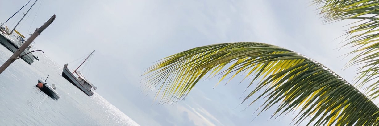 Yayou_Dou's profile banner image
