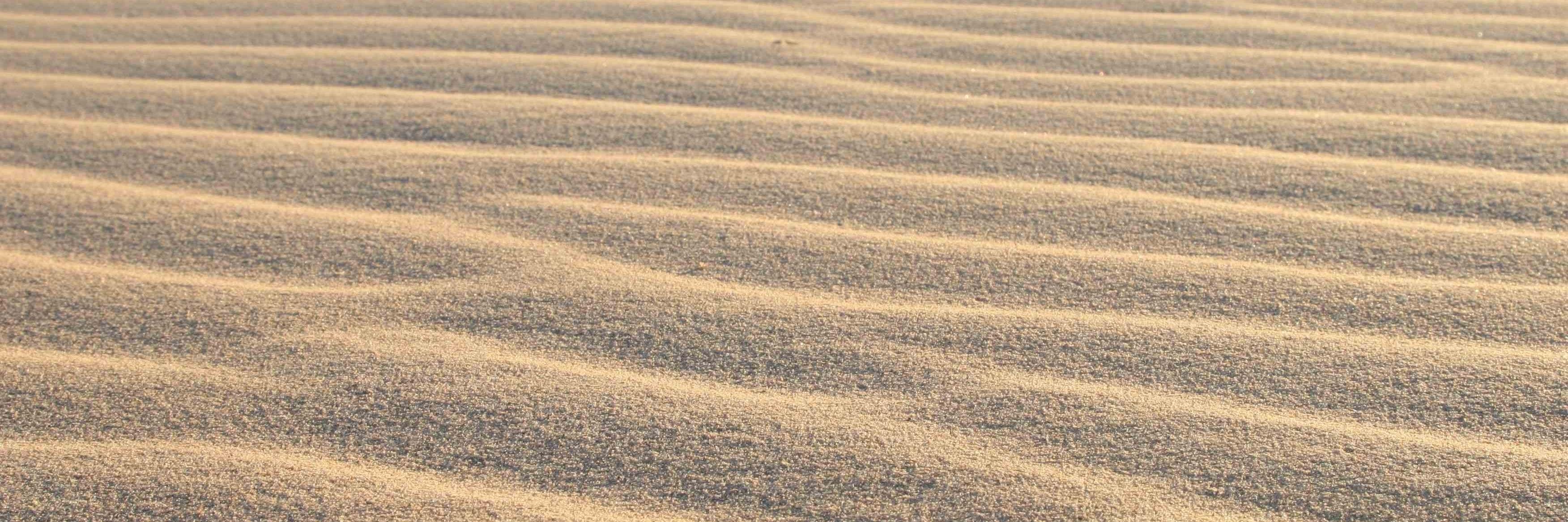 LizardDreaming's profile banner image