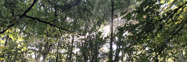 Arthur__rlt Profile Banner