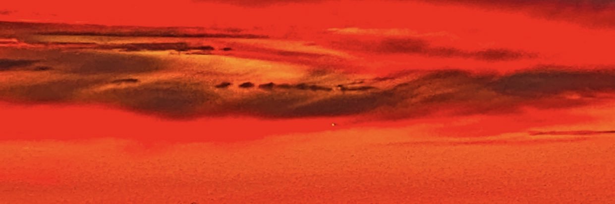 Wiaz_Buddy banner