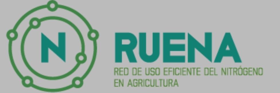 RUENA banner