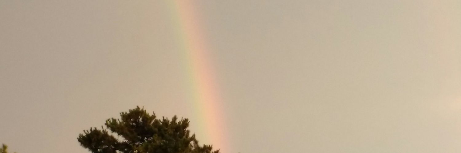 dario_codner's profile banner image