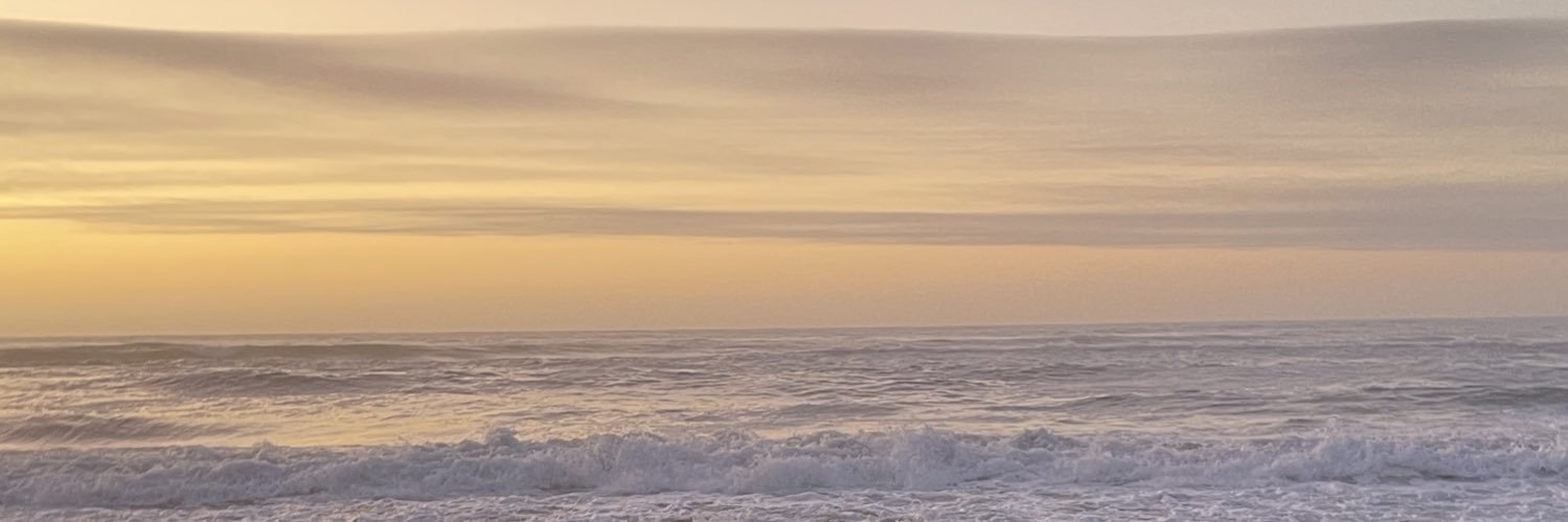 lagomitabox's profile banner image