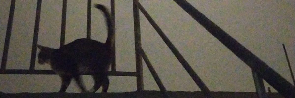 Edwynchelo's profile banner image