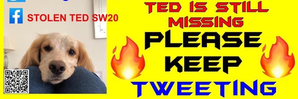 #BringTedhome banner