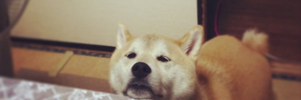 rightnowaoa's profile banner image