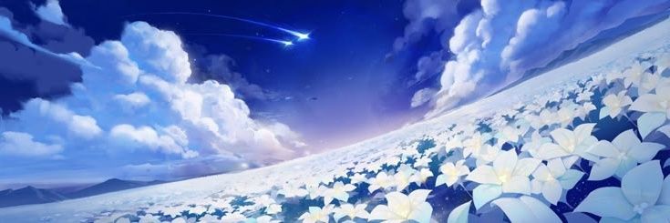 mugiwaracrs's profile banner image