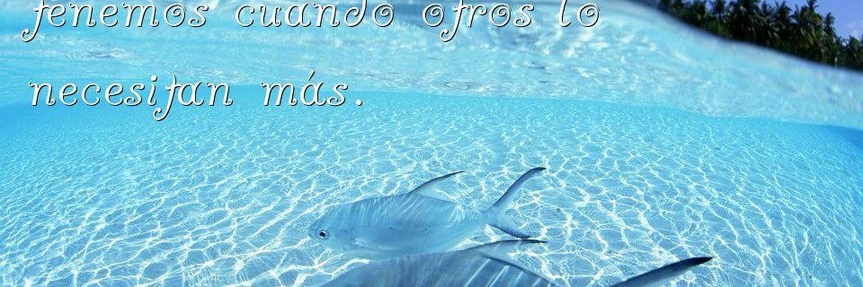 framoslopez's profile banner image
