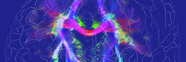 MbbSymposium Profile Banner