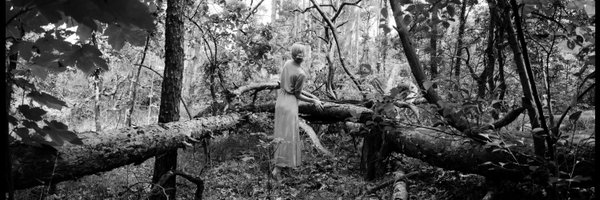 stojanovstudio Profile Banner