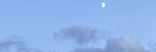 federicasolfa Profile Banner