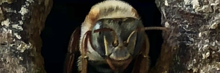 EdgarGGodoy1's profile banner image