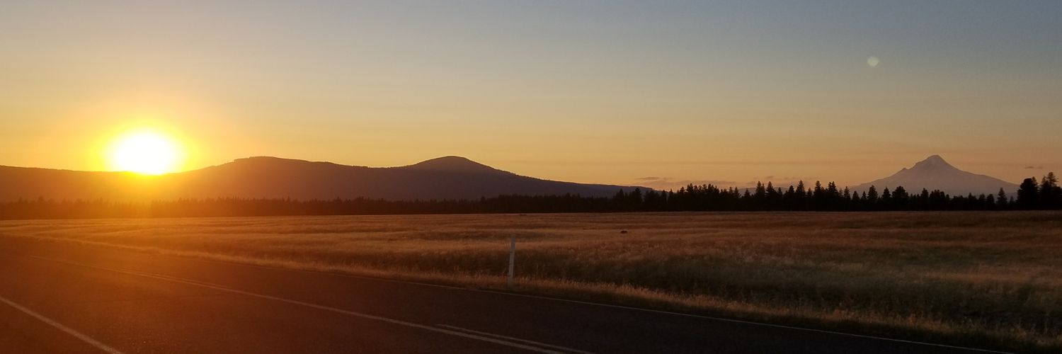 EmIsAGem_1's profile banner image